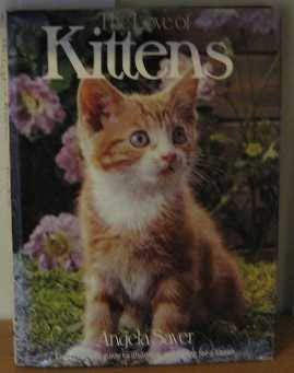Love of Kittens (Hardcover)