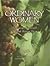 Ordinary Women by Michele M. Rickett