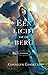 Een licht op de berg (De vrijsteden Book 1) (Dutch Edition)
