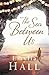 The Sea Between Us by Emylia Hall by Emylia Hall