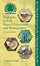 Principles of Tree Hazard Assessment and Management 2013 (Research for Amenity Trees) by David Lonsdale (2013-12-11)