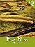 Pray Now: Daily Devotions for the Year 2010 by Church of Scotland (23-Oct-2009) Paperback