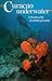 Curacao Underwater: A Divin...