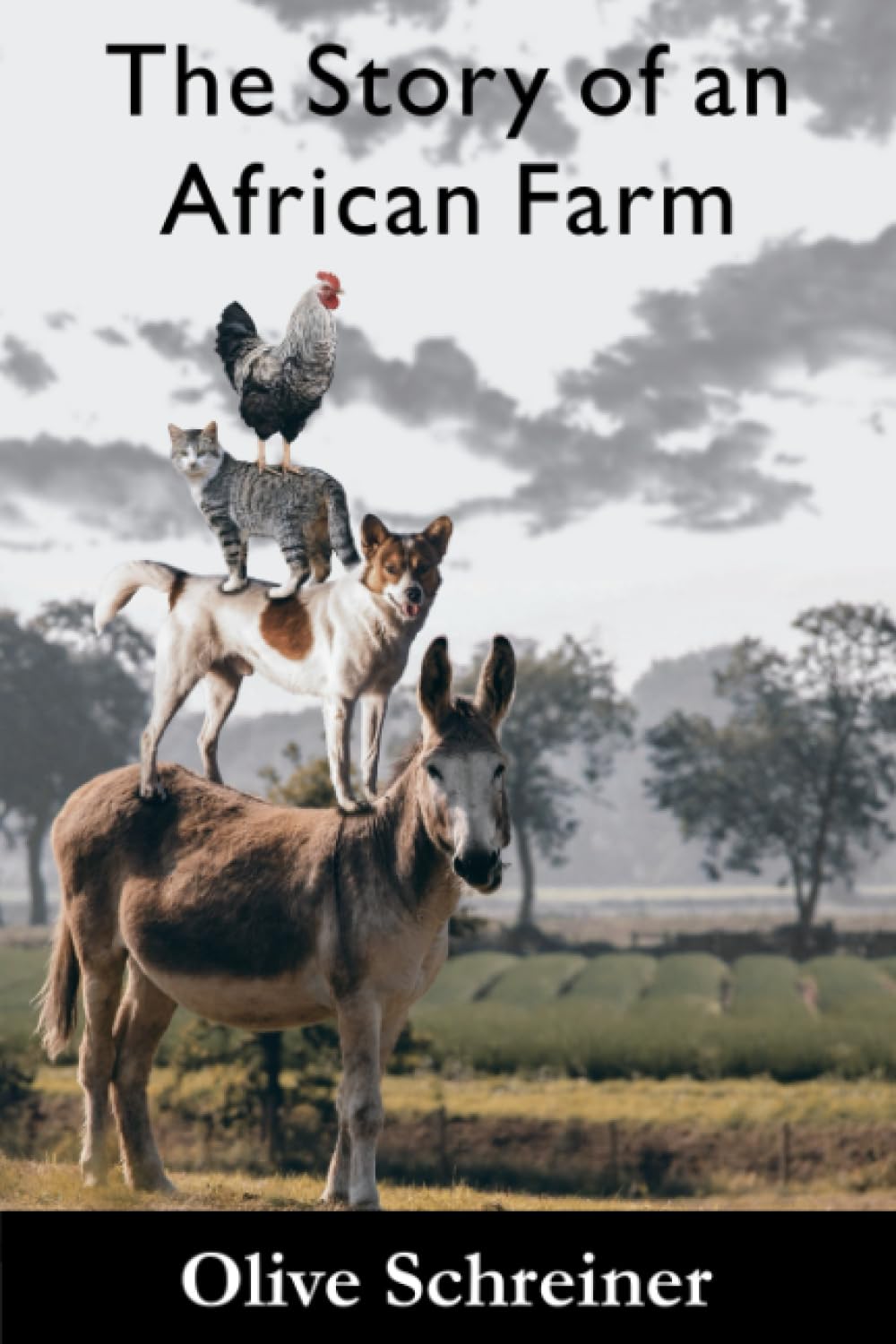 The Story of an African Farm