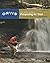 The Orvis Guide to Prospecting for Trout: How to Catch Fish When There's No Hatch to Match, Revised Edition