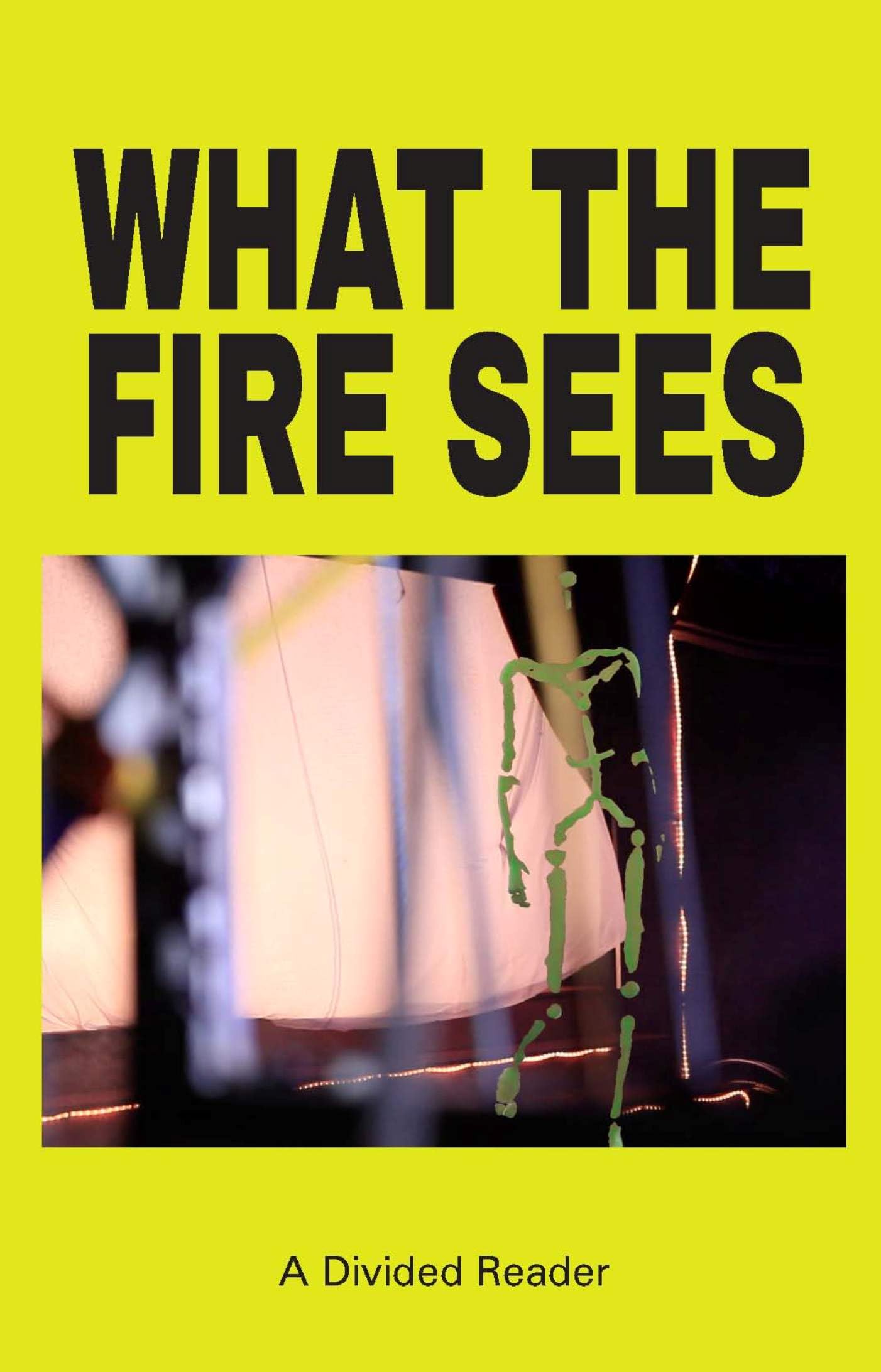 What the Fire Sees: A Divided Reader (Kindle Edition)