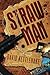 Straw Man by David W. Kettlehake (2012-07-20)
