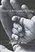 Theories of Developmental Psychology& Readings on the Development of Children
