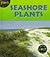 Seashore Plants