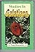 Studies in Galatians by Tom Wacaster
