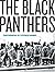 The Black Panthers - Photographs by Stephen Shames by Charles E. Jones (2006-07-15)
