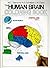 The Human Brain Coloring Bo...