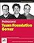 Professional Team Foundation Server by Jean-Luc David (2006-11-20)