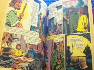 The Picture Bible (Hardcover)
