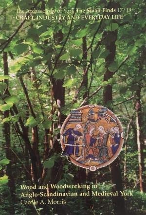 Craft Industry and Everyday Life: Wood and Woodworking in Anglo-Scandinavian and Medieval York (Paperback)