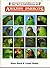 Encyclopaedia of Amazon Parrots
