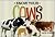 Know Your Cows by Jack Byard (1-Jan-2012) Paperback