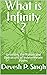 What is Infinity ?: Unveili...