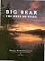 Big Bear the First 100 Year...