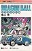 Dragon Ball Vol 31 (in Japanese)