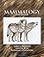 Mammalogy by Vaughan, Terry...