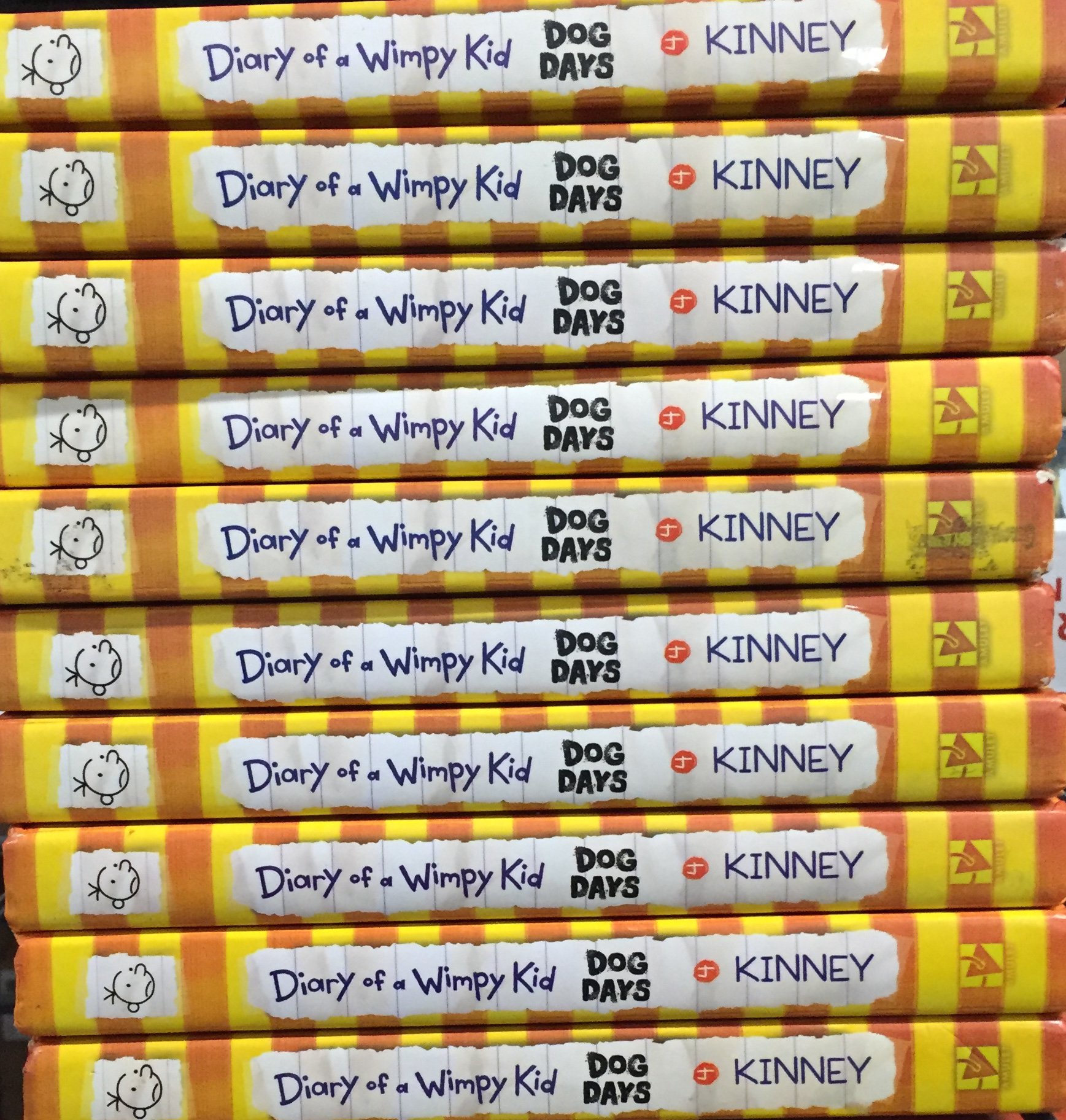 Class Set of 10 Copies of Diary of a Wimpy Kid Dog Days (book 4) by Jeff Kinney
