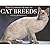 The Ultimate Guide to Cat Breeds [ULTIMATE GT CAT BREEDS]