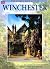 Winchester City Guide by Vivien Brett (1999-06-01)