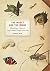 The Insect and the Image by Janice Neri