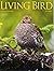 Living Bird Magazine Winter...