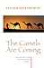 The Camels Are Coming by Ted Shuttlesworth