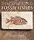 Discovering Fossil Fishes by John Maisey (2000-10-25)