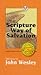 The scripture way of salvation: Sermons