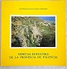 Ermitas rupestres de la provincia de Palencia (Spanish Edition) Ermitas rupestres de la provincia de Palencia (Spanish Edition)