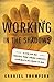 Working in the Shadows: A Year of Doing the Jobs (Most) Americans Won't Do by Gabriel Thompson (2010-01-26)