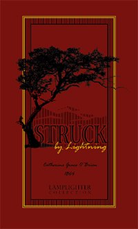 Struck by Lightning (Fireside Collection)