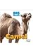 Camel (Big Beasts)