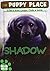 Shadow (Puppy Place) by Ellen Miles (2007-05-15)