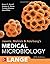 Medical Microbiology