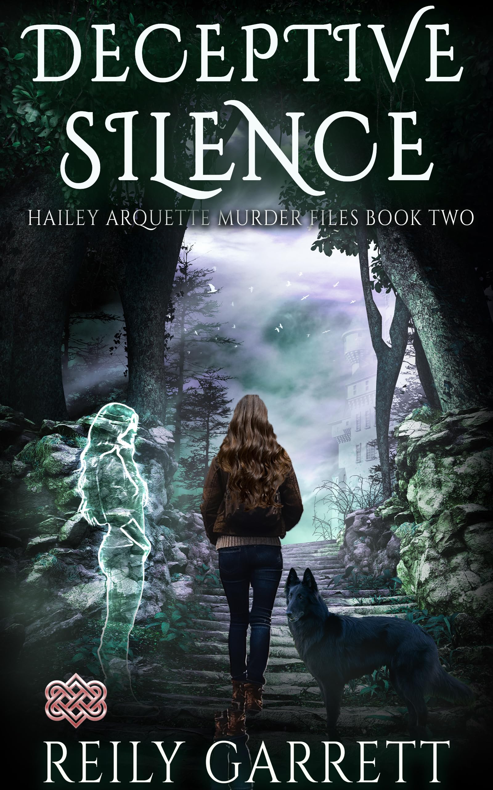 Deceptive Silence (Kindle Edition)