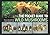 The Pocket Guide to Wild Mushrooms: Helpful Tips for Mushrooming in the Field by Pelle Holmberg (2013-07-09)
