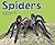 Spiders (Bugs, Bugs, Bugs!)