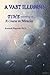 A Vast Illusion: Time According to 'A Course in Miracles' by Kenneth Wapnick (1991-01-01)