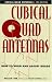 All about Cubical Quad Ante...