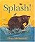 Splash! by Flora McDonnell (1999-06-02)