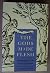 The Gods Made Flesh: Metamorphosis and the Pursuit of Paganism