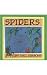 Spiders