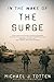 In the Wake of the Surge [Paperback] [2011] (Author) Michael J. Totten