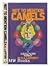 Not to Mention Camels
