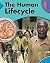 The Human Lifecycle (Body Science) by Rufus Bellamy (2007-01-25)